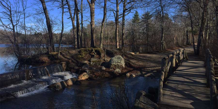 Being in a State of Presence:  Learning to Live Life One Moment at a Time