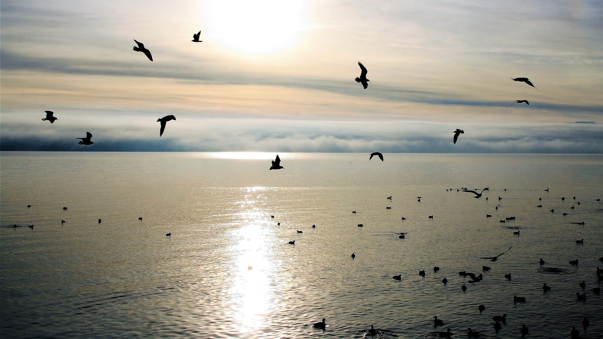 How to Create Meaning and Purpose in Our Daily Lives