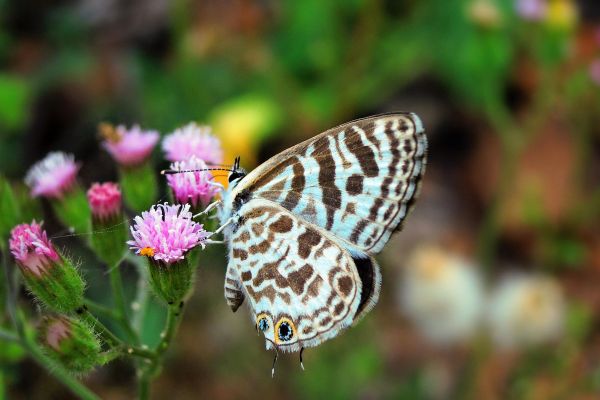 Want to Experience Greater Well-Being? Try a Little Awe