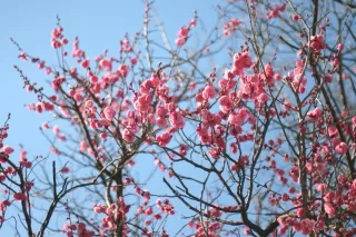 5 Ways to Thrive in Mid-Life